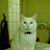 Debbie Anne Zinski Agee's profile image