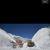 Carole Bonner's profile image