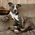 Debby Kuebler's profile image