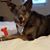 Jennifer Asbell Bayles's profile image