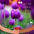 Jai Shiv Shankar's profile image