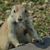 Wendy Weber Petera's profile image