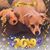 Cathy Ancalade's profile image
