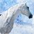 Chantelle Feller's profile image
