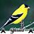 Amanda Finch's profile image