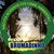 Milva Lehm's profile image