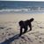 Sarah Lavin's profile image