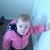 Sa-sha Ternes's profile image