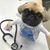 Kimmie Tck's profile image