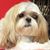Diane Jordan Peterson's profile image