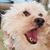 Cari Cook's profile image