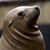 Greg Caro's profile image