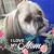 Whitten Hachi Radar Grigg's profile image