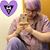Willow Sappho Lazuli's profile image
