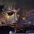 Kristen Freeman Garcia's profile image