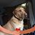 Judy Frank Rodriguez's profile image