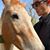 Kelsey L. Ragsdale's profile image