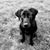 Marla Imel Wheatley's profile image