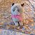 Milliethecat McAveeney's profile image
