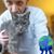 Michael Pammer's profile image