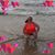 Randee Guynes's profile image