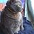 Sol Luna's profile image