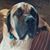 Erika Stutzman Richardson's profile image