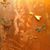 Julee McVicker's profile image