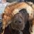 Jeni Wolf's profile image