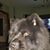 Jeff Cannon's profile image