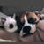 Krista Orsack's profile image