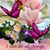 Sharon LaBelle Baggett's profile image