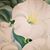 Kriss Luckett-Ziesemer's profile image