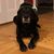 Nila Brantley's profile image