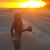 Darcie Allen's profile image