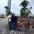 Christian Anguiano's profile image