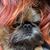 David Witz's profile image