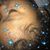 Deidra Leavell Chambers's profile image