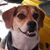Margie Evans Johnson's profile image