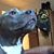 Matthew D Salter's profile image