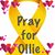 Miah Faircloth's profile image