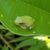 Karyn Molines's profile image