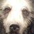 Maria Antonatos's profile image