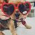 Linda Hallan-Kasat's profile image