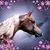 Debra Gillet's profile image