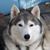 Pamela Miller - Hendricks's profile image