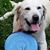 Matt Colby's profile image