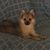 Dennisse Rodriguez's profile image