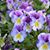 Rebecca Smartis's profile image