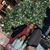 Andrea Shanta's profile image